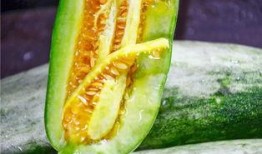 可以吃所有网红的瓜,揭秘全网热门事件背后的真相