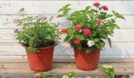 南康爆料重大事故视频最新,视频揭露惊人真相