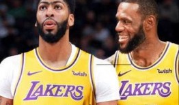 戴维斯爆料特朗普视频全集,惊人内幕大曝光