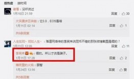 最新币圈项目爆料及分析,风口浪尖上的投资机遇与风险分析